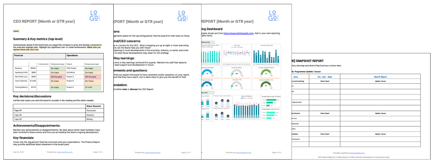 CEO Report template 2024