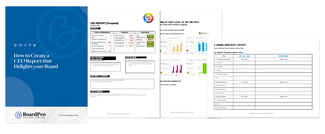 ceo report guide and CEO report template